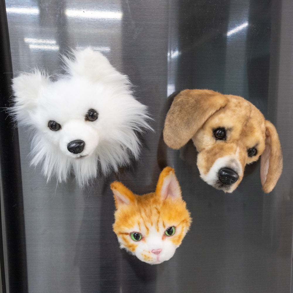 Custom Pet Magnets