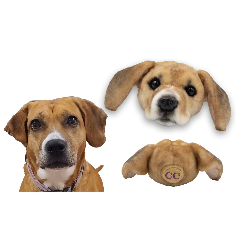 Custom Pet Magnets